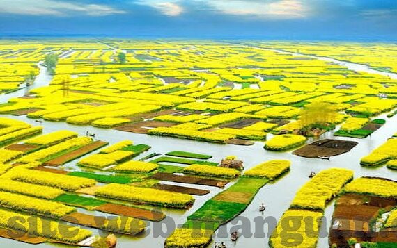 澳门网足球比分直播-澳门网足球比分直播，球迷的实时观赛新体验